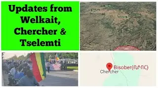 Updates from Welkait, Chercher & Tselemti