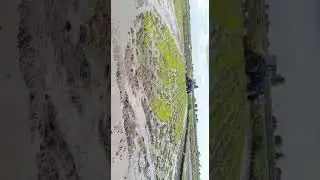 4710 4wd with puddler in paddy field #tractor #cnhindia #pridemonth2020 #newholland