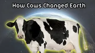The History of Cows