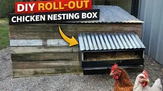 404 - Chicken Project | Chicken Coop Nesting Roll Out Box With Paint Trays