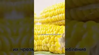 Вред кукуруза для организма