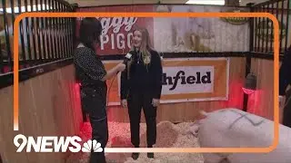 Stock Show to offer free admission on Tuesday