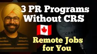 3 PR Programs Without CRS + Remote Jobs for You #punjabi #immigration  