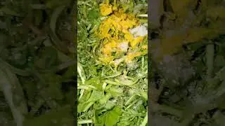 Healthy green leafy 🥬🥗curry #cooking#foodvideo #health #indianfood #youtubeshorts