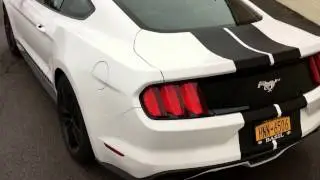 2016 Mustang black racing stripes customradio.com