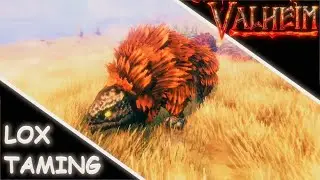 Valheim Tips & Tricks How To Tame Lox In Valheim! A Taming Guide For Lox
