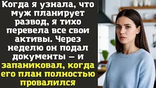 Когда я узнала, что муж планирует развод, я тихо перевела все свои активы