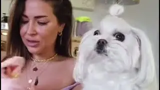 That's So Ming (hrh collection)