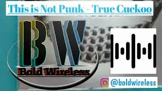 #vlog #nocopyrightmusic #vlognocopyrightmusic BW. This is Not Punk - True Cuckoo