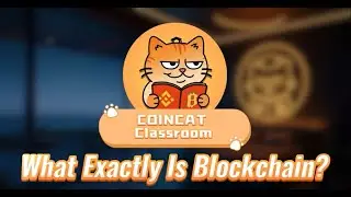 🐱 CoinCat Class #1: What is Blockchain? | Beginner&rsquo;s Guide 🚀