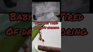 Baby SLAPS Dad for Snoring #funny #baby #funnysleep #shorts