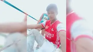 diehd