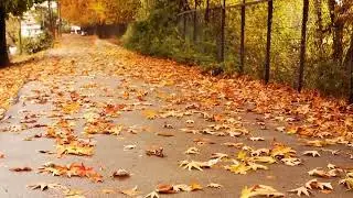 Autumn in Kashmir
