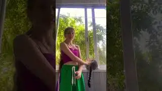 #music #funk #dance #remix #beats #2024 #cat #врек #тренды #больше Я СЕГОДНЯ В КРЫМ