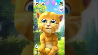 My Talking ginger 2 funny video