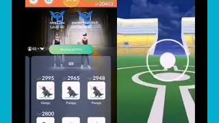 Togetic Raid Due - The Ramp-Age Runs On!