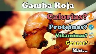 &iquest;Cu&aacute;ntas CALORIAS tiene la GAMBA ROJA?, FIBRA, VITAMINAS, GRASAS, CARBOHIDRATOS # 92