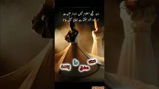 Ishq Da Saagar | Heart-Touching Sufi Ishq Song | Rumi & Bulleh Shah #viral #shorts #trending #love