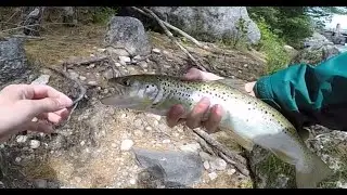 MAINE LANDLOCKED SALMON!!!! - Fly Fishing - All the way from Louisiana