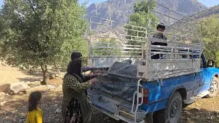 Migration of nomads from warm mountains to cold regions