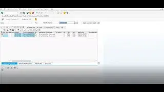 EWM- ADHOC HU/Product Movement