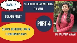 Sexual Reproduction In Flowering Plants |Anther wall | Quick Revision|By Kalpana Ma’am 