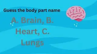 You Know the Your Body Parts Name | FunMind Quizzes #quizzes #bodyparts