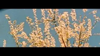 Fog Lake - Tolerance