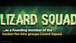 Lizard Squad's founding member pleads guilty to cyber-crimes
