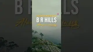 One of the beautiful tiger reserve of Karnataka, B R Hills, Chamarajanagara. #karnataka #travel