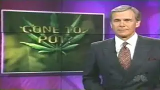 Gone To Pot? | NBC NEWS 1996