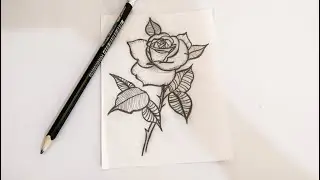 Rose #2 / cris mandala