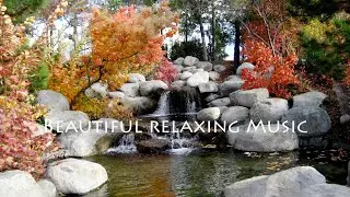 Beautiful Relaxing Music | Stress Relief | Muzik Tune INN