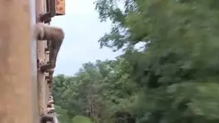 Pure Tracksounds of ICF journey - Alco with Utkrisht ICF coaches through the forests