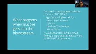 Adult Med/Surg: Diabetes NEW Lecture Part 1: Intro to Diabetes (Type 1 vs Type 2)