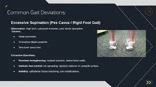 Lecture 5 Ankle Gait Deviations