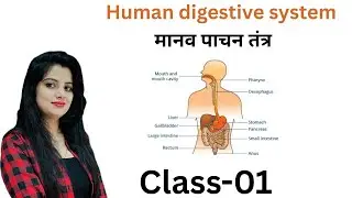DIGESTIVE SYSTEM  CLASS -2 | SCIENCE CLASS BY DIVYA MAM (SSC,HSSC,DELHI POLICE )