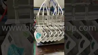High-Speed 6-Head Pouch Filling Machine | Automatic Packing Solution for Snacks, Powder & Granules