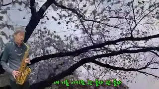 대전한울림색소폰황익권내이름아시죠
