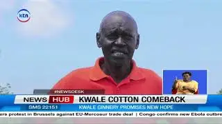 Cotton farming revival in Kwale as ginnery, prices spur growth