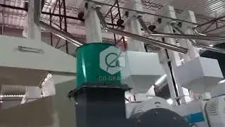 Start Your Rice Business in Zambia 🇿🇲 | 40TPD High-Efficiency Milling Line Tour #ricemillsupplier