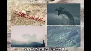 地球上真的存在龍嗎？盤點全球各地拍攝到龍形生物的真實錄像！