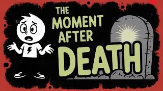 What Happens After Death (Science and Fun)