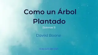 Como un &Aacute;rbol Plantado | David Boone| PIEB LACY 13 de julio