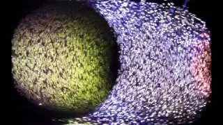Multiphoton Microscopy - Mounted Artery of Mouse