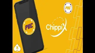 Tutorial de instala&ccedil;&atilde;o Chippix 2024