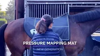 Le Nouvel &Eacute;cuyer, presentation of the concept: the pressure sensor mat