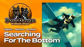 Searching For The Bottom | BossDawgs Ordinal Show