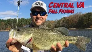 CHASING BIG LARGEMOUTH in central Virginia