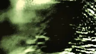 UFO SHIP 4,PARTS 2:ALIEN LIZARD REPTILE,THE RIGHT EYE OF THE EXTRATERRESTRIAL LIKAN LIZARD BRAZIL.